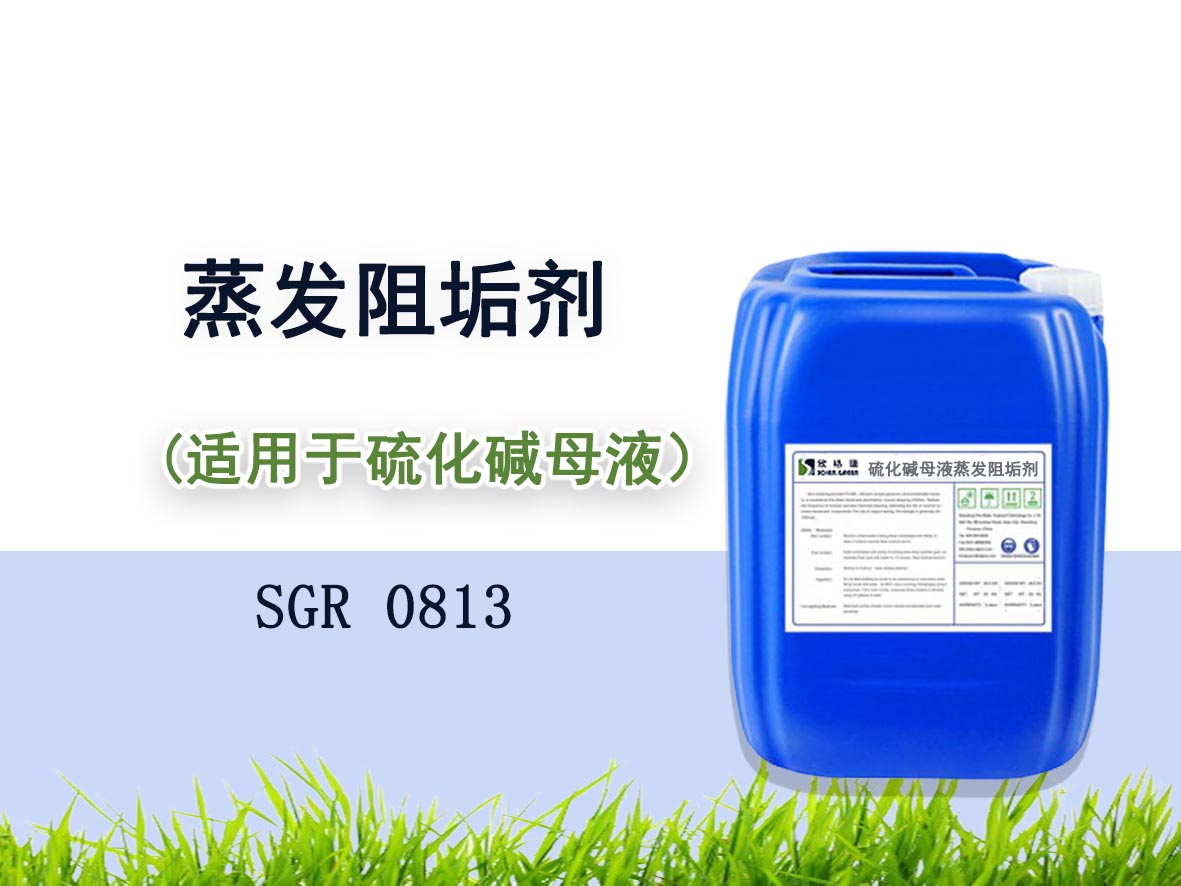 SGR-0813 硫化堿母液蒸發阻垢劑